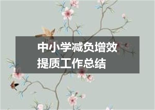 中小学减负增效提质工作总结