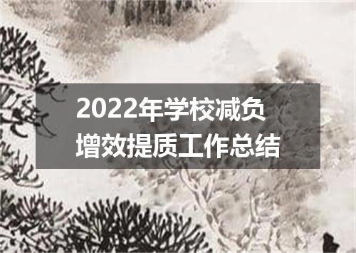 2022年学校减负增效提质工作总结