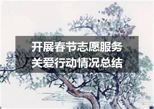 开展春节志愿服务关爱行动情况总结