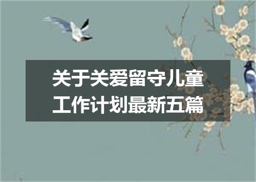 关于关爱留守儿童工作计划最新五篇