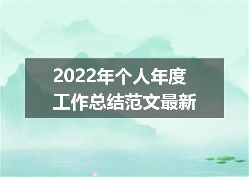 2022年个人年度工作总结范文最新