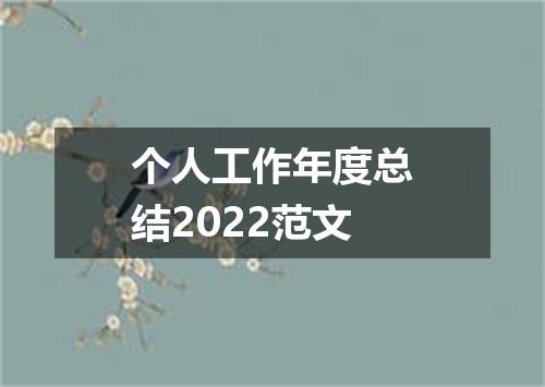 个人工作年度总结2022范文