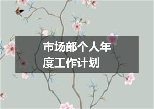 市场部个人年度工作计划