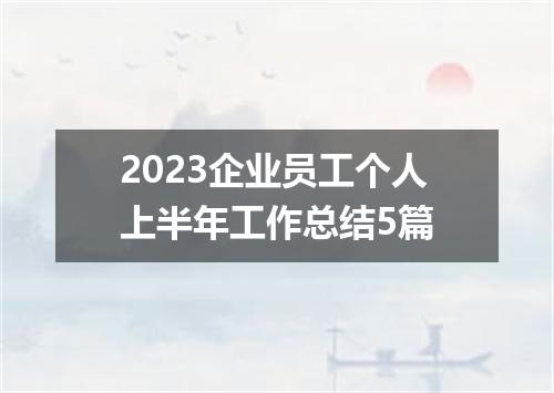 2023企业员工个人上半年工作总结5篇