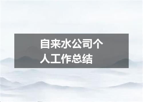 自来水公司个人工作总结