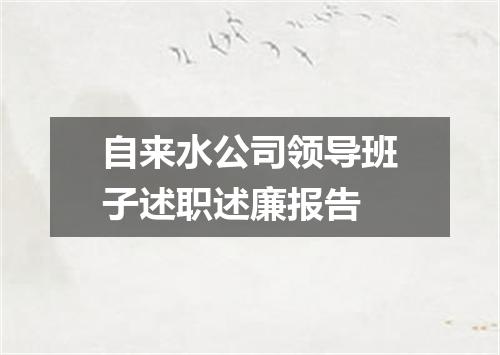 自来水公司领导班子述职述廉报告