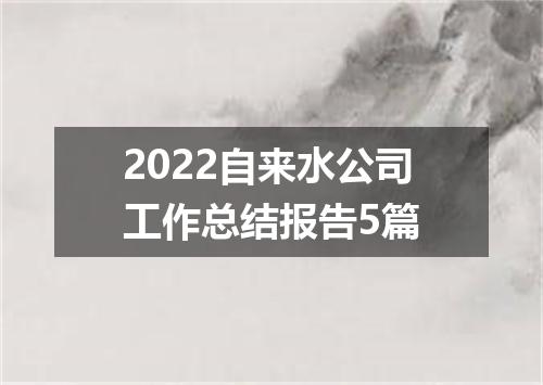 2022自来水公司工作总结报告5篇
