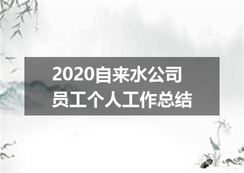 2020自来水公司员工个人工作总结