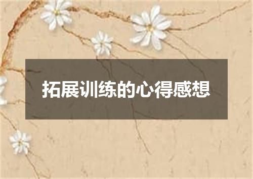 拓展训练的心得感想