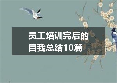 员工培训完后的自我总结10篇