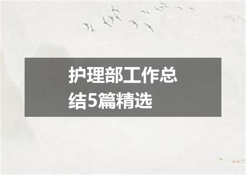 护理部工作总结5篇精选
