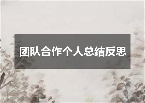 团队合作个人总结反思