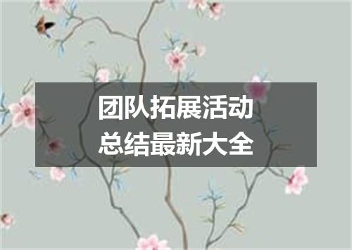 团队拓展活动总结最新大全