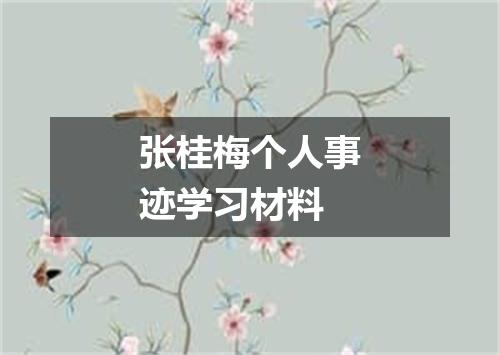 张桂梅个人事迹学习材料
