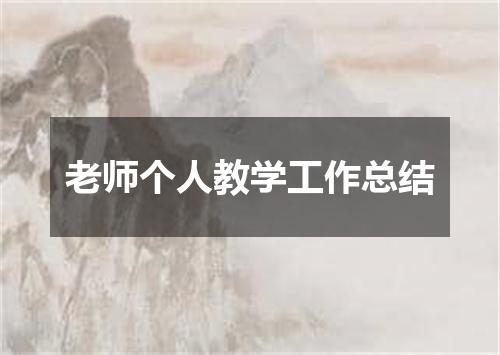 老师个人教学工作总结