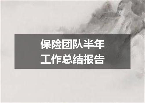 保险团队半年工作总结报告
