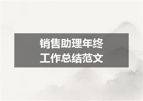 销售助理年终工作总结范文