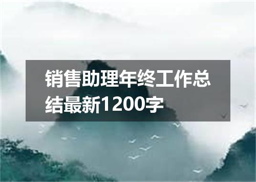 销售助理年终工作总结最新1200字
