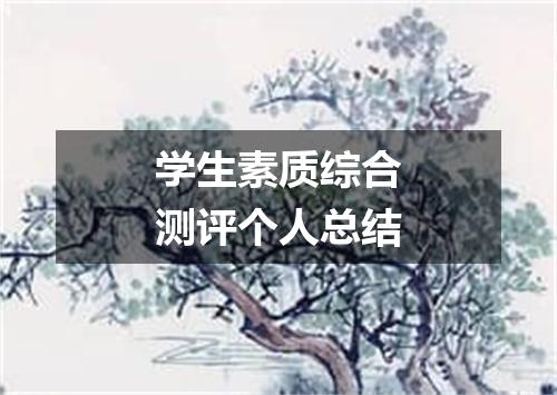 学生素质综合测评个人总结