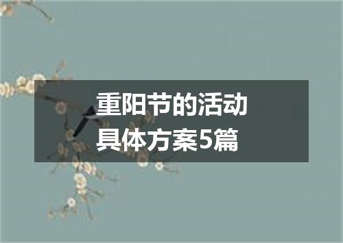 重阳节的活动具体方案5篇