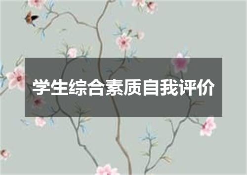 学生综合素质自我评价