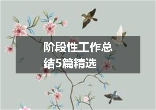 阶段性工作总结5篇精选