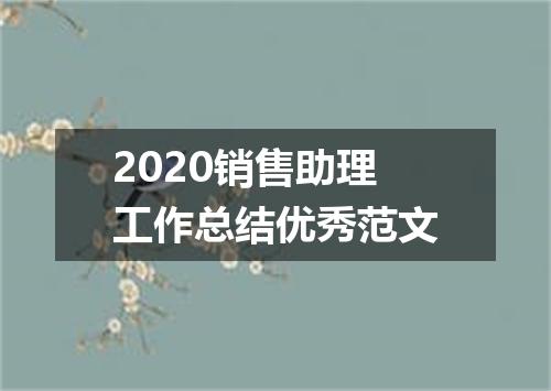 2020销售助理工作总结优秀范文