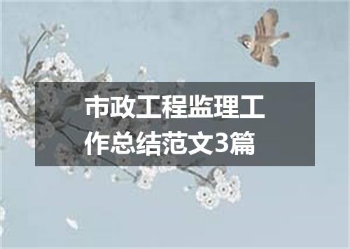 市政工程监理工作总结范文3篇