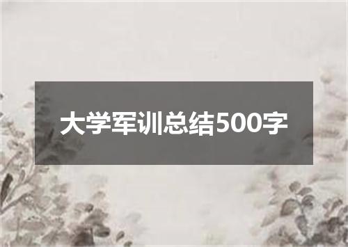 大学军训总结500字