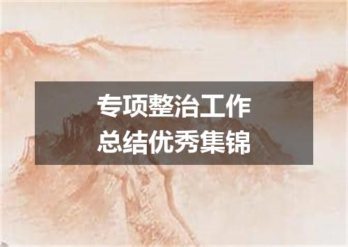 专项整治工作总结优秀集锦