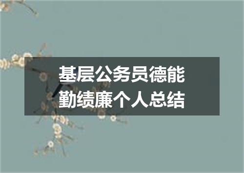 基层公务员德能勤绩廉个人总结