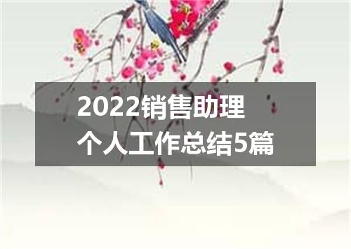 2022销售助理个人工作总结5篇