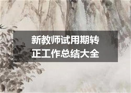新教师试用期转正工作总结大全