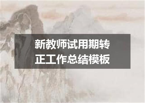 新教师试用期转正工作总结模板