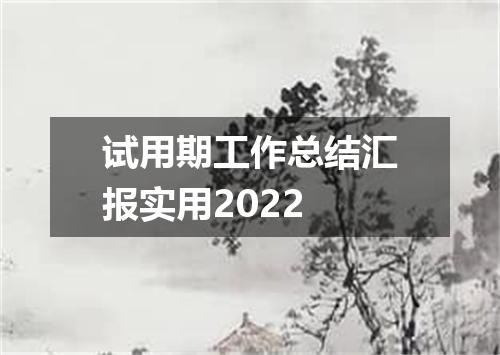 试用期工作总结汇报实用2022