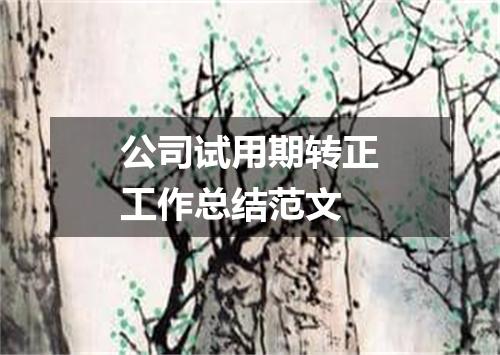 公司试用期转正工作总结范文