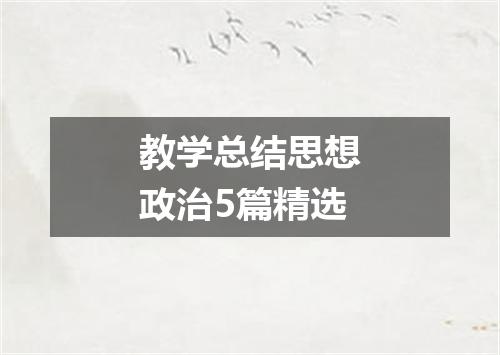 教学总结思想政治5篇精选