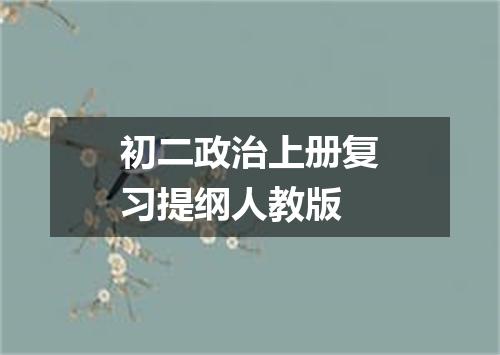 初二政治上册复习提纲人教版