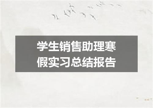 学生销售助理寒假实习总结报告