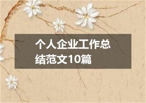 个人企业工作总结范文10篇