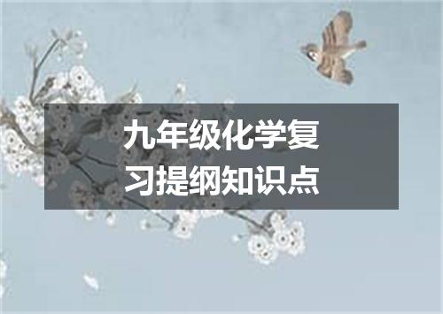 九年级化学复习提纲知识点