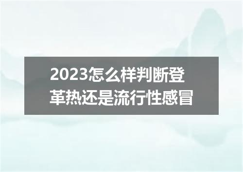 2023怎么样判断登革热还是流行性感冒