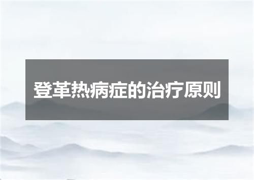 登革热病症的治疗原则