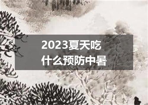 2023夏天吃什么预防中暑