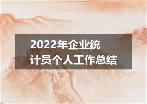2022年企业统计员个人工作总结