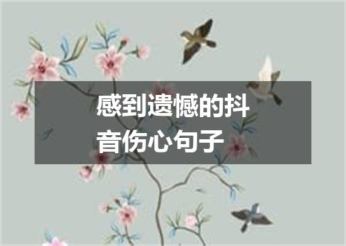 感到遗憾的抖音伤心句子