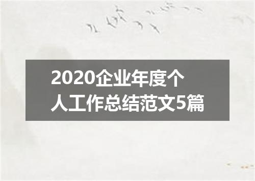 2020企业年度个人工作总结范文5篇