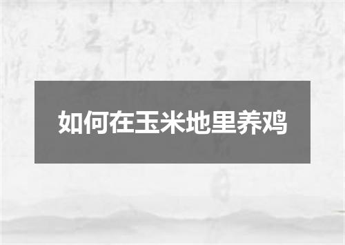 如何在玉米地里养鸡