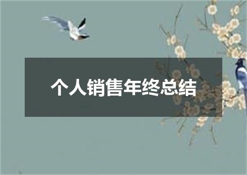 个人销售年终总结