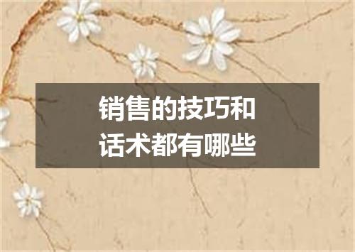 销售的技巧和话术都有哪些